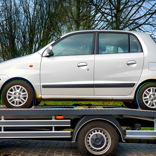 steptodown.com567761