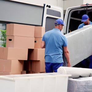 steptodown.com942595